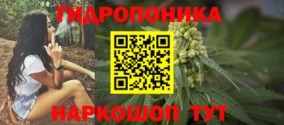 ECSTASY Кингисепп
