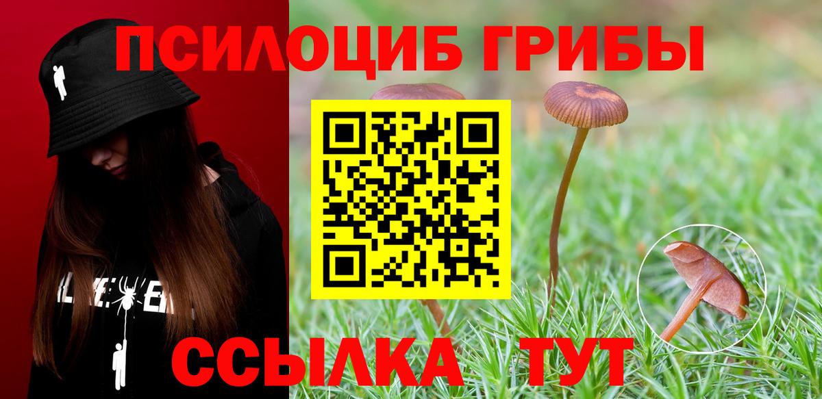 Псилоцибиновые грибы Magic Shrooms Спасск-Дальний